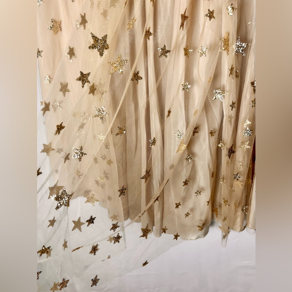 Lirika Matoshi Beige Tulle A-Line Skirt with Gold Star Embellishments - Picture 3 of 7